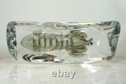 ALFREDO BARBINI Murano Large Glass Shellfish Lobster Sculpture. Aquarium RARE