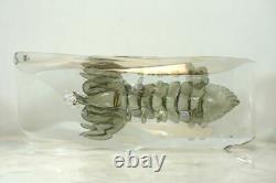 ALFREDO BARBINI Murano Large Glass Shellfish Lobster Sculpture. Aquarium RARE