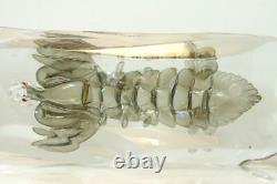 ALFREDO BARBINI Murano Large Glass Shellfish Lobster Sculpture. Aquarium RARE