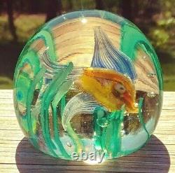 Beautiful Fratelli Toso Aquarium Iridescent Fish & Seaweed Glass Paperweight