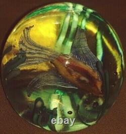 Beautiful Fratelli Toso Aquarium Iridescent Fish & Seaweed Glass Paperweight