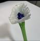 DEFECTIVE Lot Of 12 Vtg Murano Style Hand Blown Art Glass Long Stem Flo G3D