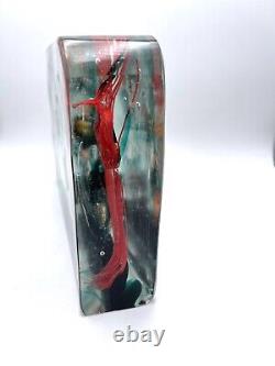 EXCEPTIONAL X LARGE MURANO BLOCK AQUARIUM FISH CENEDESE 1950s withLITE BASE