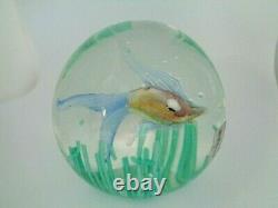 FRATELLI TOSO Murano Art Glass FISH IN SEAWEED Paperweight LAMPWORK with LABEL