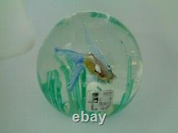 FRATELLI TOSO Murano Art Glass FISH IN SEAWEED Paperweight LAMPWORK with LABEL