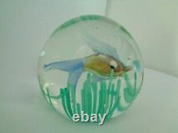 FRATELLI TOSO Murano Art Glass FISH IN SEAWEED Paperweight LAMPWORK with LABEL