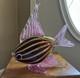 Hand Blown Art Glass Tropical Fish Pink Yellow Stripes Murano Style Coastal 11