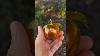 Hand Blown Murano Glass Apple Amber Color Handmade In Italy Muranoglass Glassart Glass Artist