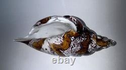 Hand Blown Murano Style Vintage Native Florida Glass Art Conch Sea Shell