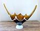 Huge 18.5 MCM Hand Blown Murano Style Honey Gold Glass Centerpiece Bowl Lattimo