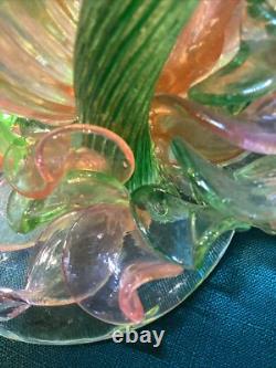 Large SEAHORSE AMONG SEAWEED Oggetti Murano Blown GLASS Amazing