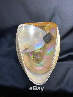 Lg Murano Fornace Ferro Iridescent Handblown Art Shell Bowl Swirl 17 NEW