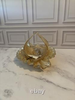 Linea Astuni Italian Hand Blown Murano Style Art Glass Bowl & Basket Set