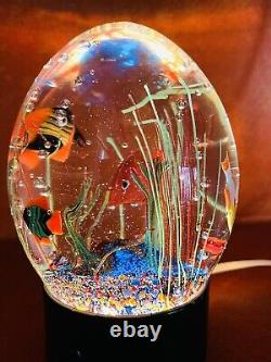 MURANO FISH AQUARIUM WATER DROP 4 FISH PAPERWEIGHT SIGNED & NUMBER WithLIGHT