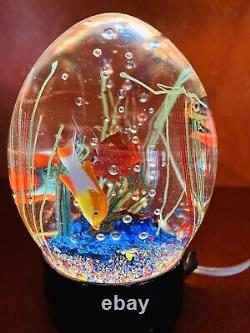 MURANO FISH AQUARIUM WATER DROP 4 FISH PAPERWEIGHT SIGNED & NUMBER WithLIGHT