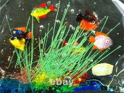 Murano Art Glass Sculture Paperweight Colorful Fish Aquarium 7.5