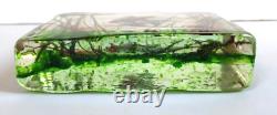 Murano Clear Art Glass Aquarium Scene Inside Sculpture Paperweight 4X5 Vintage