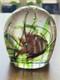 Murano Glass Aquarium Paperweight Large Fish Seaweed Riccardo Licata