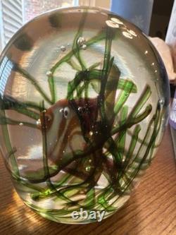 Murano Glass Aquarium Paperweight Large Fish Seaweed Riccardo Licata