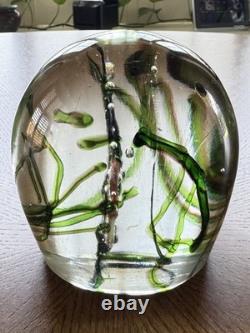 Murano Glass Aquarium Paperweight Large Fish Seaweed Riccardo Licata