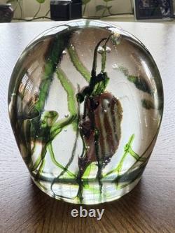 Murano Glass Aquarium Paperweight Large Fish Seaweed Riccardo Licata