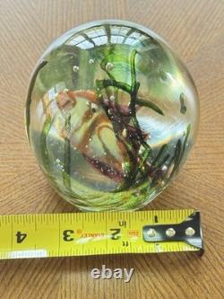 Murano Glass Aquarium Paperweight Large Fish Seaweed Riccardo Licata