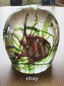 Murano Glass Aquarium Paperweight Large Fish Seaweed Riccardo Licata