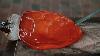 Murano Glass Blowing Making A Glass Turtle From Molten Glass Making Of Muranoglass Asmr
