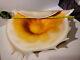 Murano Hand Blown Glass LARGE Champagne Cream Color to Orange Shell Conch, MCM