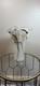 Murano Italy Hand Blown Art Glass White Swirl Handkerchief Ruffled Vase 14