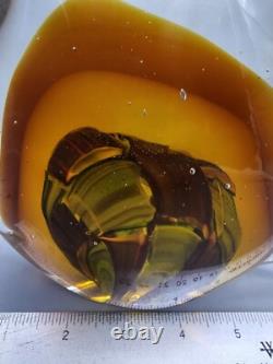 Murano Tropical Fish Hand Blown ART GLASS 9 Sommerso Amber Aventurine