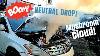 Neutral Drop Goes Hollywood A Nissan Murano Bonus Motor Explosion