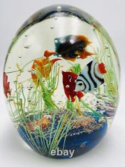 SET OF 2 EXCEPTIONAL MURANO ART GLASS AQUARIUM FISH PAPERWEIGHTS With BASE LITE