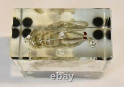 Signed Alfredo Barbini Murano Italy Art Glass Aquarium Shrimp Paperweight