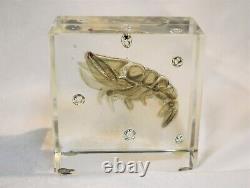 Signed Alfredo Barbini Murano Italy Art Glass Aquarium Shrimp Paperweight