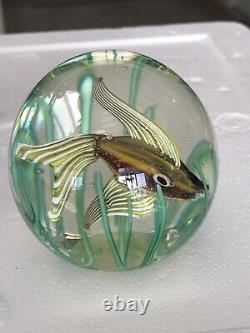 Vintage Fratelli Toso Aquarium Iridescent Fish & Seaweed Glass Paperweight