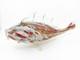 Vintage Hand Blown Murano Multi-Coloured Glass Fish Sculpture 15 Long x 7 Tall