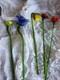 Vtg Murano Style Lot 5 Hand Blown Art Glass Long Stem Flower Bouquet 19-20